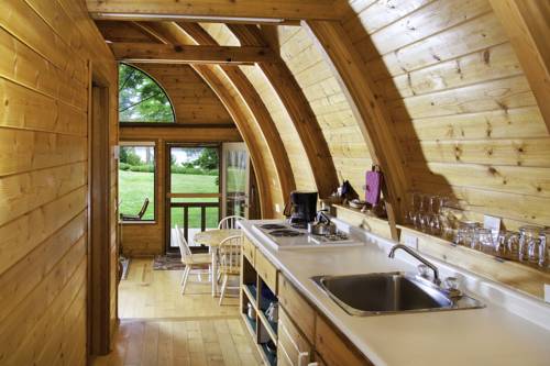 Imagen de la habitación del Hotel Mineral Springs Resort. Foto 7