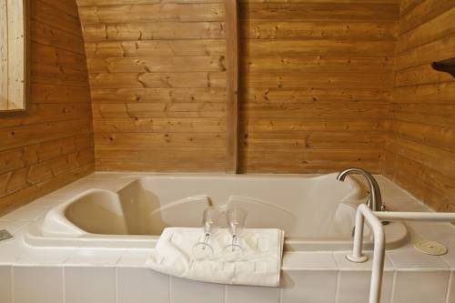 Imagen de la habitación del Hotel Mineral Springs Resort. Foto 9