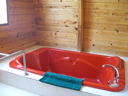 Imagen de la habitación del Hotel Mineral Springs Resort. Foto 12