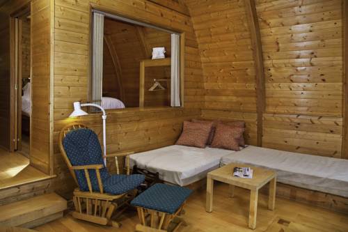 Imagen de la habitación del Hotel Mineral Springs Resort. Foto 13