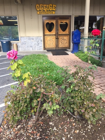 Imagen de los exteriores del Hotel Miners Inn. Foto 8