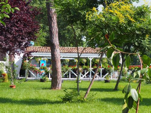 Imagen general del Hotel Minerva, Eforie Nord. Foto 6