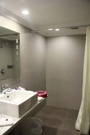 Imagen general del Hotel Minerva Grand. Foto 9