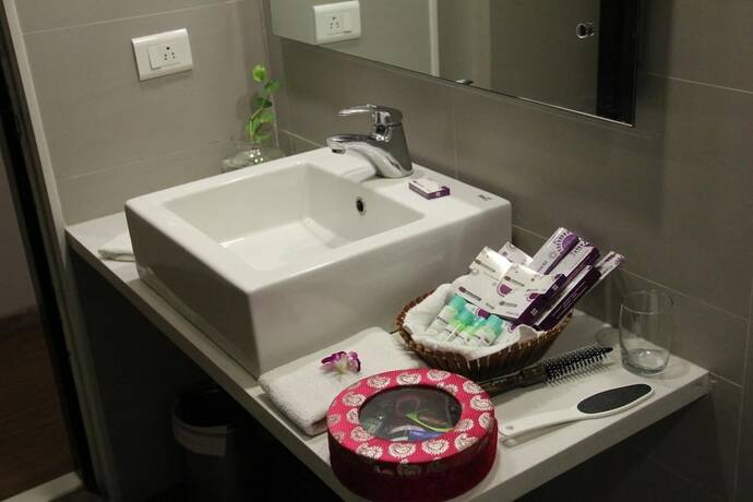 Imagen general del Hotel Minerva Grand. Foto 16