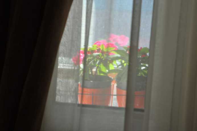 Imagen de la habitación del Hotel Mini Fuar. Foto 11
