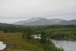 Imagen general del Hotel Mini Otel Teremki. Foto 3