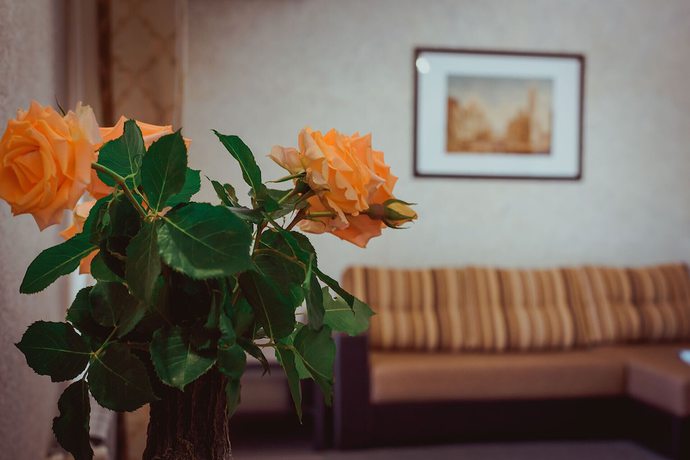 Imagen de la habitación del Hotel Mini hotel Platan. Foto 16