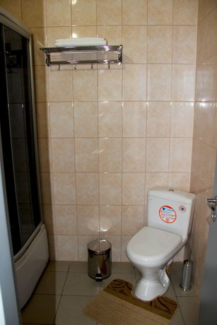 Imagen de la habitación del Hotel Mini-Koleso. Foto 7