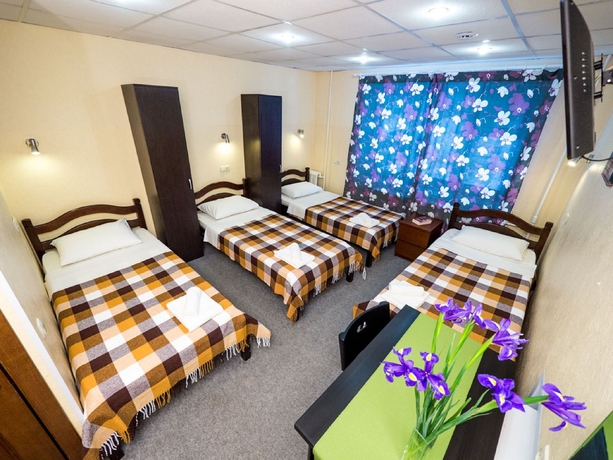 Imagen de la habitación del Hotel Mini-hotel Aviamotornaya. Foto 7