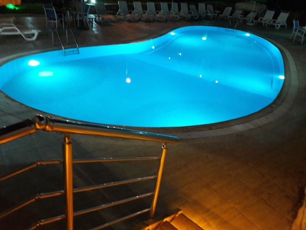 Imagen de la piscina del Hotel Ministar. Foto 19