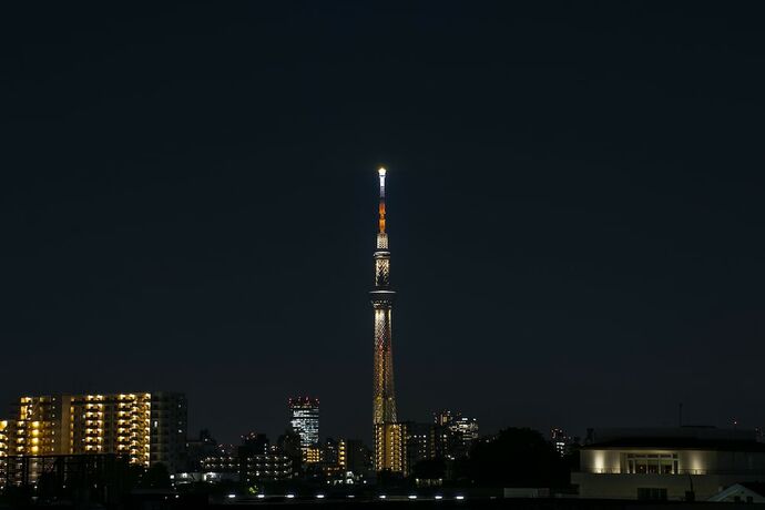 Imagen de la habitación del Hotel Minn Machiya. Foto 35