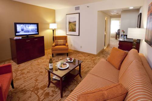 Imagen de la habitación del Hotel Minneapolis Marriott Northwest. Foto 2