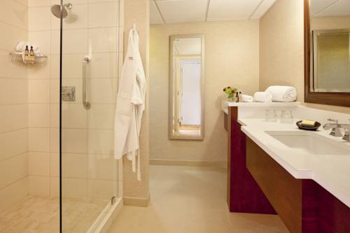 Imagen de la habitación del Hotel Minneapolis Marriott Northwest. Foto 5