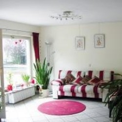 Imagen general del Hotel Minotel Braun. Foto 3