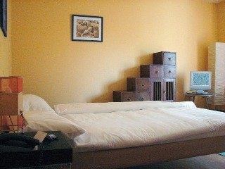 Imagen general del Hotel Minotel Le Cedre. Foto 5