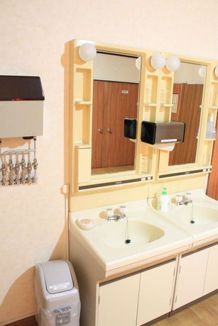Imagen de la habitación del Hotel Minshuku Akiba. Foto 10
