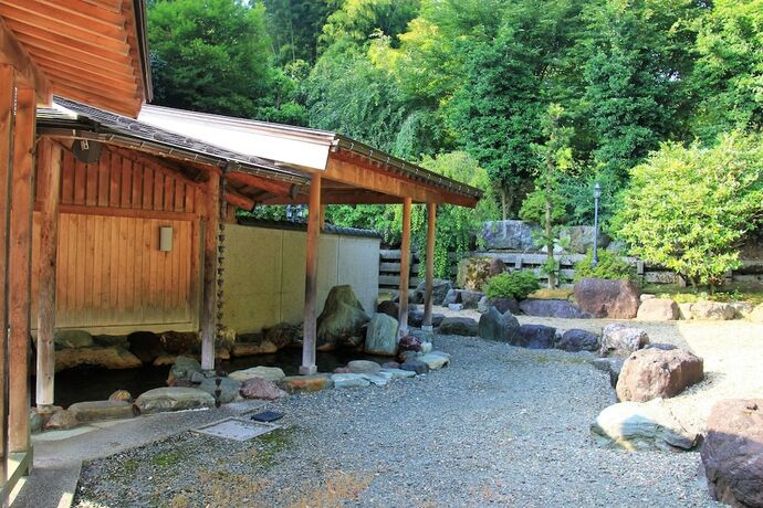 Imagen de la piscina del Hotel Minshuku Ikemori. Foto 33