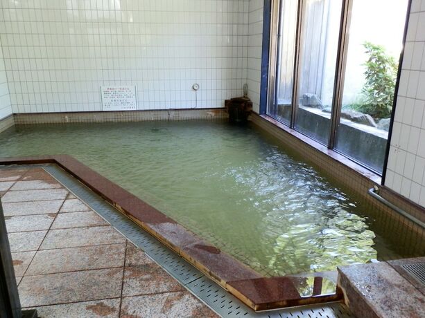 Imagen de la piscina del Hotel Minshuku Ikemori. Foto 36