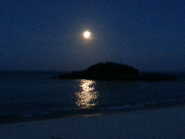 Imagen de la habitación del Hotel Minshuku Myojoso. Foto 5