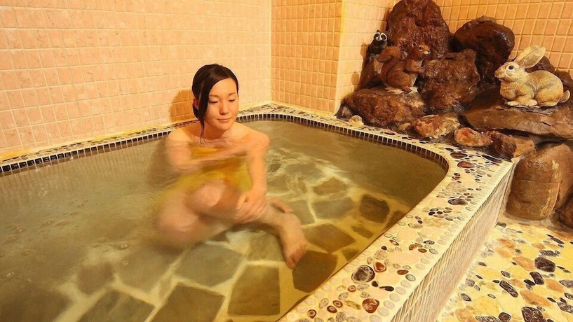 Imagen de la habitación del Hotel Minshuku Suzuransou. Foto 16