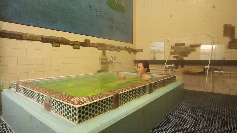 Imagen de la habitación del Hotel Minshuku Suzuransou. Foto 17