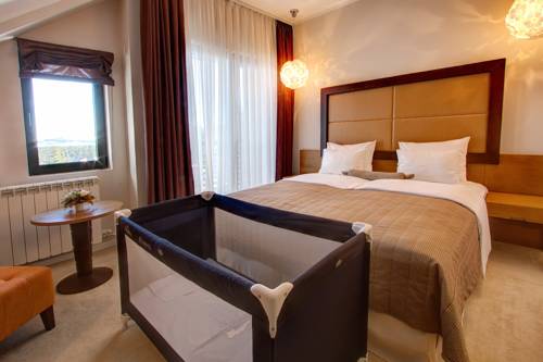 Imagen de la habitación del Hotel Mir, Zlatibor. Foto 6