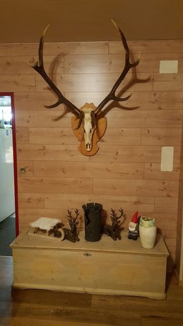 Imagen de los interiores del Hotel Mira, Tujetsch. Foto 18