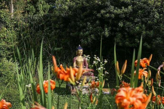 Imagen general del Hotel Mirabel Resort. Foto 8