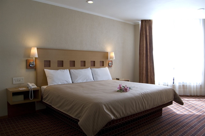 Imagen de la habitación del Hotel Mirabel, Santiago de Queretaro. Foto 8