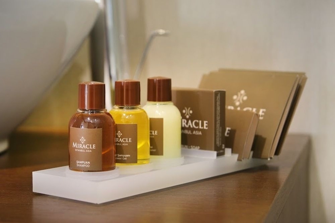 Imagen de la habitación del Hotel Miracle Istanbul Asia Airport Hotel and Spa. Foto 6