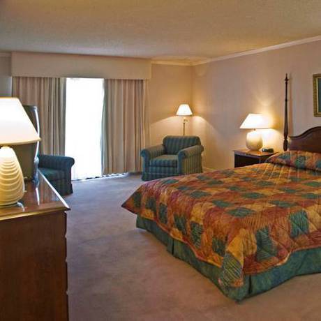 Imagen de la habitación del Hotel Miracle Springs Resort And Spa. Foto 14