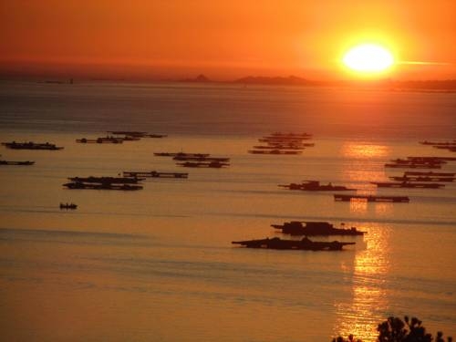 Imagen general del Hotel Mirador Ría De Arosa. Foto 10