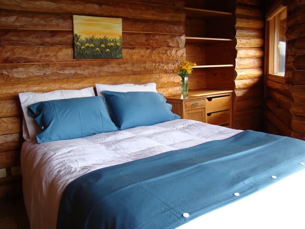 Imagen de la habitación del Hotel Miradores Del Lanin. Foto 8