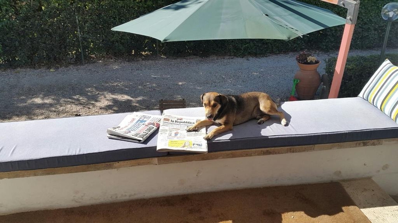 Imagen general del Hotel Miraggio. Foto 14