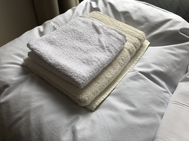 Imagen de la habitación del Hotel Mirai. Foto 9