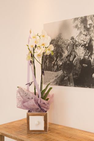 Imagen de la habitación del Hotel Miralles. Foto 10