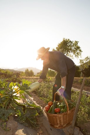 Imagen del bar/restaurante del Hotel Miralles. Foto 5