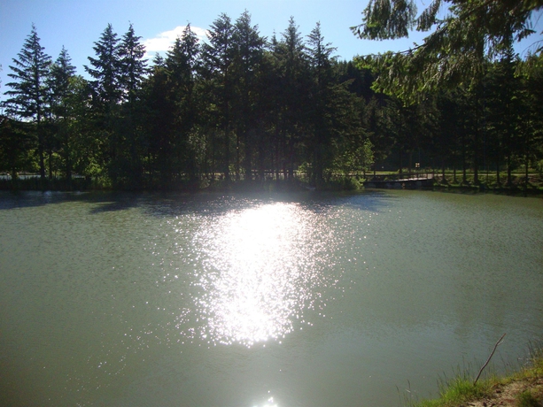 Imagen de los exteriores del Hotel Miramonti, Bagno di Romagna. Foto 8