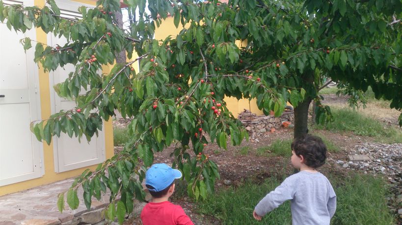 Imagen de la habitación del Hotel Miramonti, Turismo Rurale. Foto 7