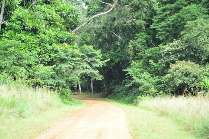 Imagen general del Hotel Mirembe Resort Beach. Foto 4