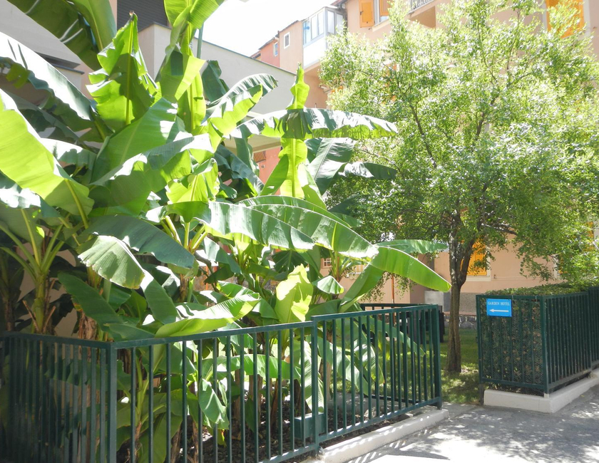 Imagen general del Hotel Miriam, Sestri Levante. Foto 16