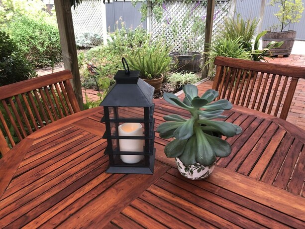 Imagen de los exteriores del Hotel Miriams Cottage. Foto 30