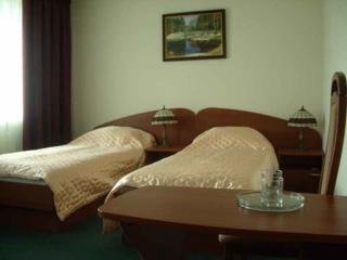 Imagen de la habitación del Hotel Mirit, Mosc&uacute;. Foto 5
