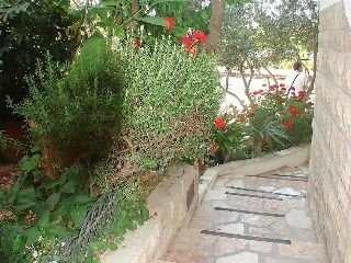 Imagen general del Hotel Mirjana. Foto 4