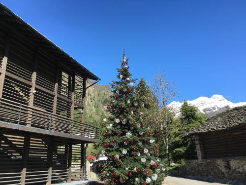 Imagen general del Hotel Mirtillo Rosso Family. Foto 5