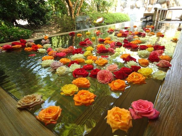 Imagen general del Hotel Misasa Onsen Misasakan. Foto 2