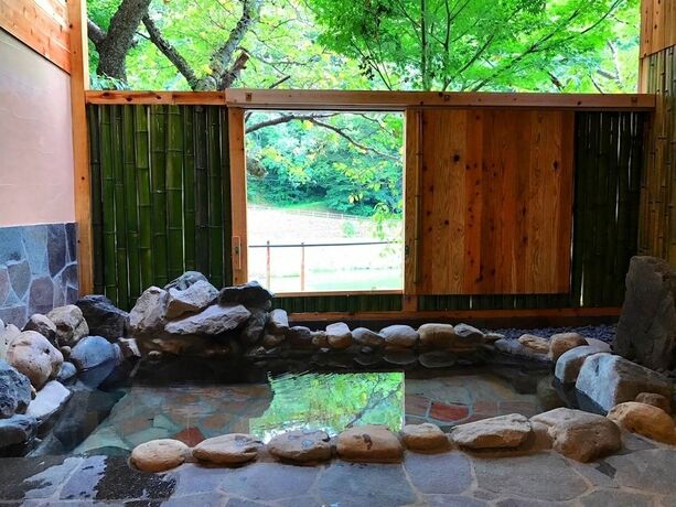 Imagen general del Hotel Misasa Onsen Seiryusou. Foto 8