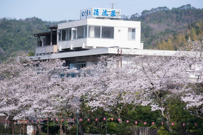 Imagen general del Hotel Misasa Onsen Seiryusou. Foto 13