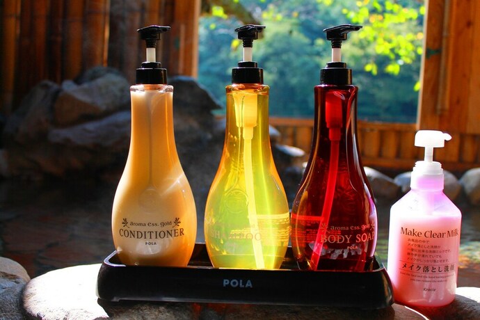 Imagen de la habitación del Hotel Misasa Onsen Seiryusou. Foto 16