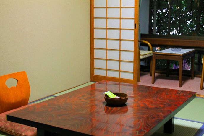 Imagen de la habitación del Hotel Misasa Onsen Seiryusou. Foto 21